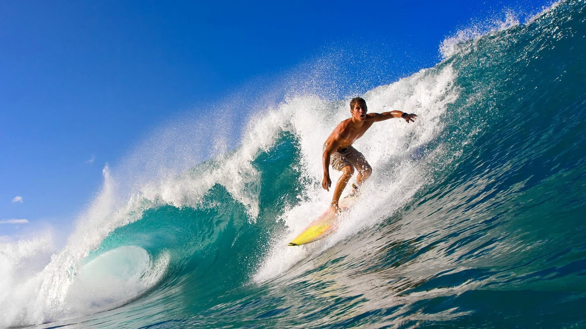 生态探险跑：绿色环保新趋势，生态挑战